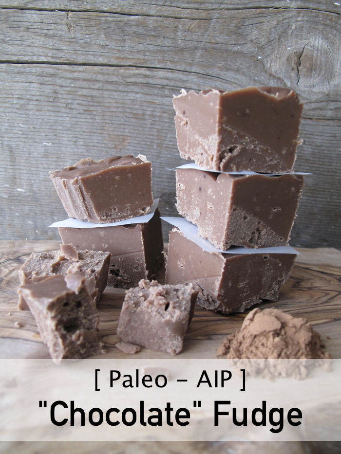 AIP / Paleo "Chocolate" Carob Fudge - A Squirrel in the Kitchen