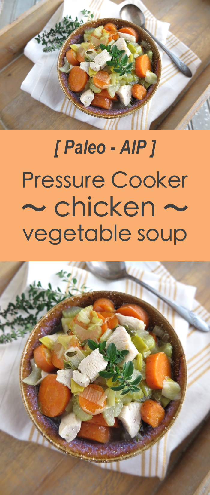 The Best Pressure Cooker Chicken Vegetable Soup! (Paleo, AIP, Instant Pot)