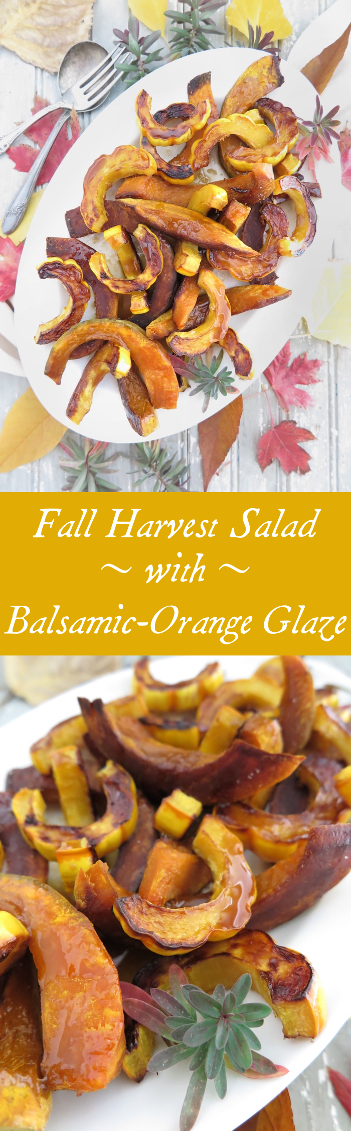 Fall Harvest Salad with Balsamic-Orange Glaze [Paleo - AIP] This side dish is so beautiful and so easy to make! With delicata squash and kabocha squash, this is the perfect complement to your Thanksgiving turkey!