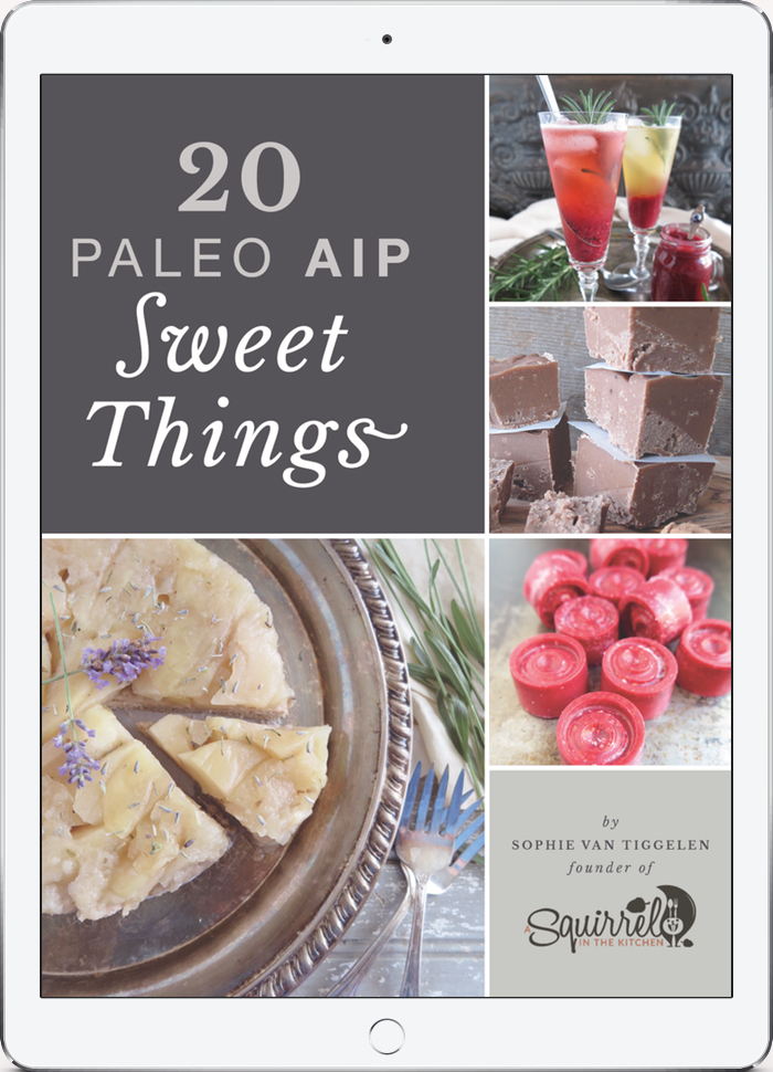20 Paleo AIP Sweet Things ebook