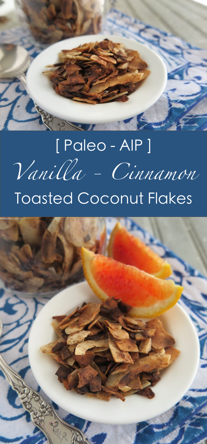 Vanilla-Cinnamon Toasted Coconut Flakes [ Paleo - AIP - Sugar-Free ]