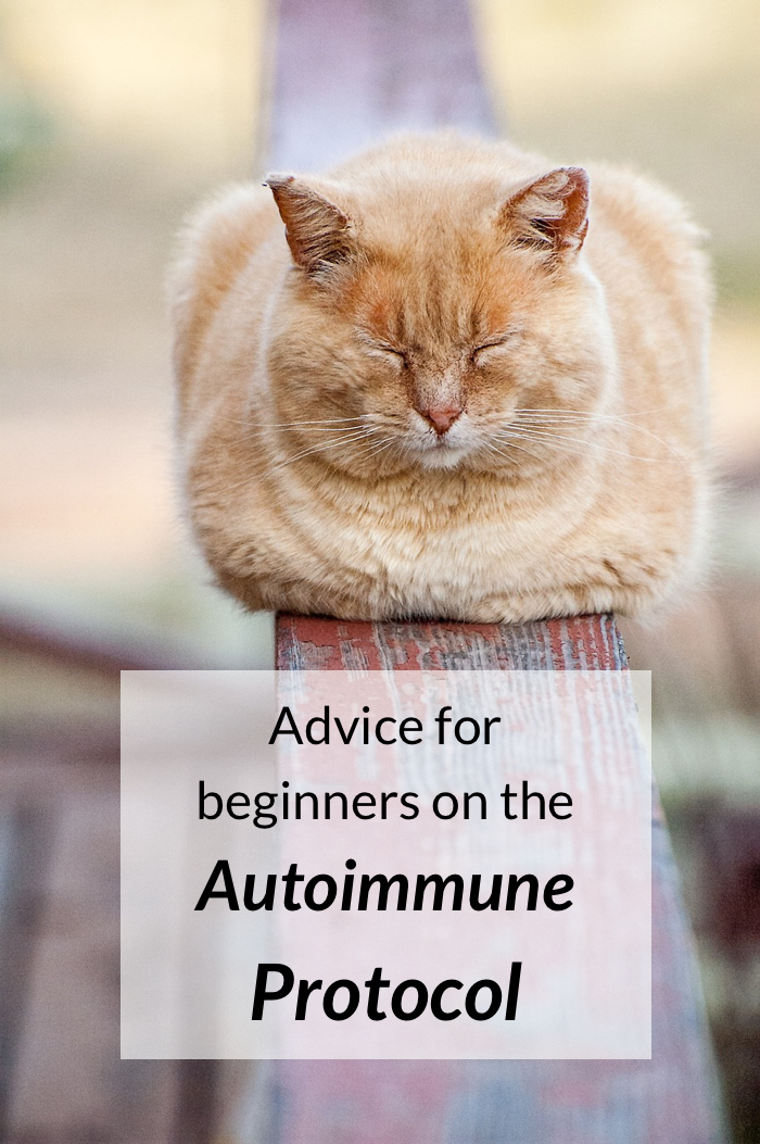 Advices for Beginners on the Autoimmune Protocol (AIP)