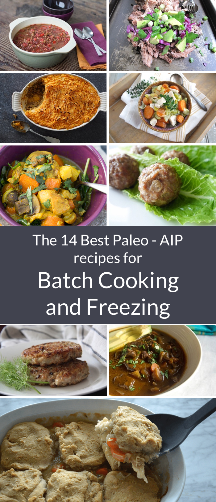 Top 14 AIP Recipes for Batch Cooking and Freezing