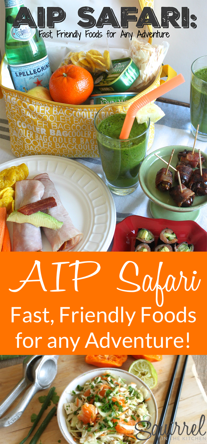 AIP Safari Review : Fast, Friendly Food for any Adventure