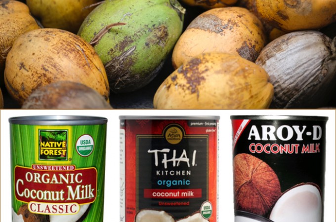 What's the Deal with Coconut Milk? Is it even Paleo AIP?