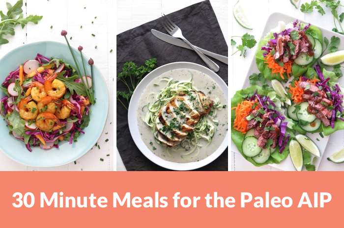 Paleo AIP 30 Minutes Meals and Free Meal Plan