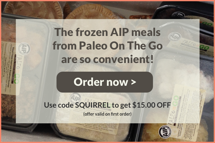 AIP Made Simple with Paleo On The Go (Giveaway)