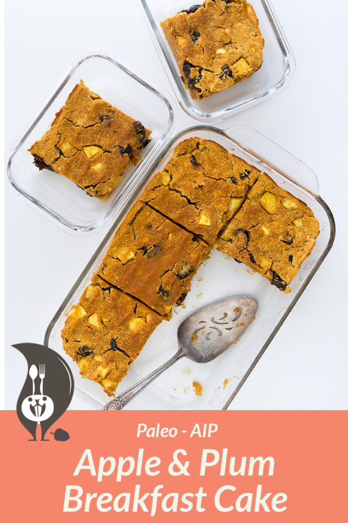 Apple and Plum Breakfast Cake [AIP-Paleo]