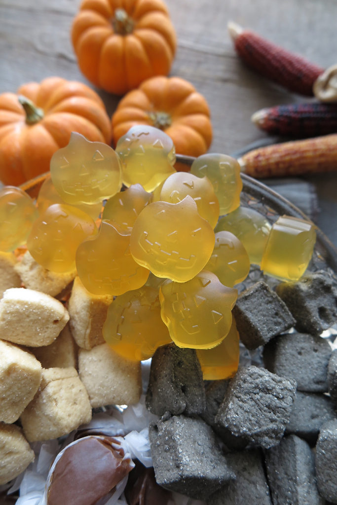 Apple Cider Vinegar Gummies and a simple AIP Halloween Spread | A Squirrel  in the Kitchen